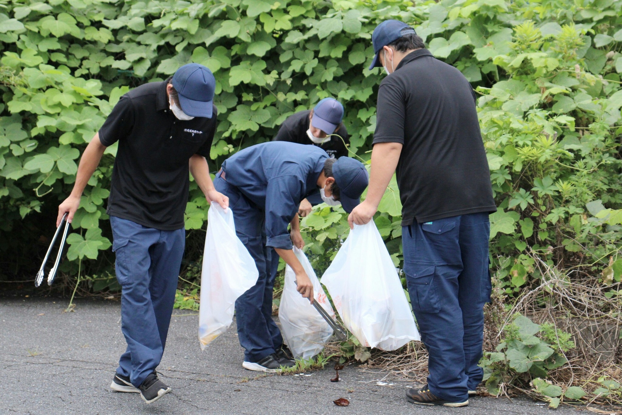 ごみ拾いの様子1