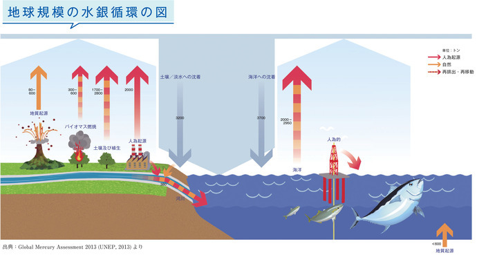 水銀循環図