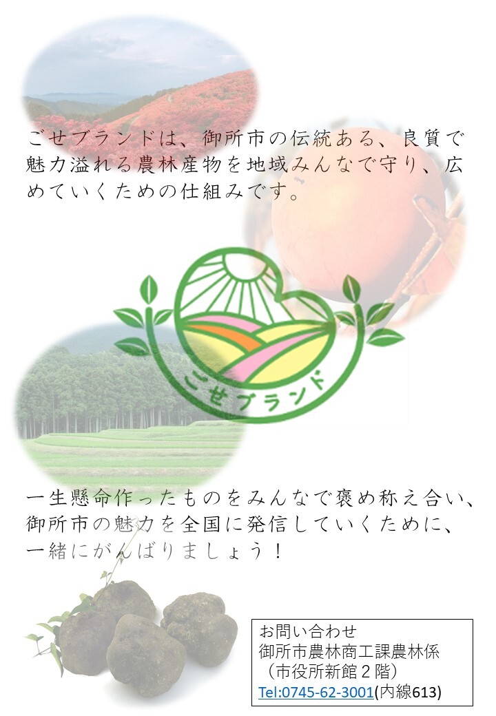 ごせブランドの紹介