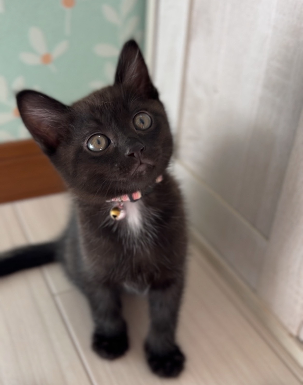 かん2