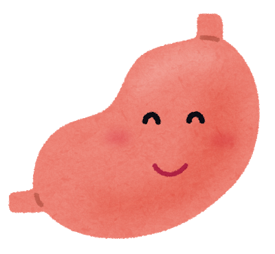 健康な胃腸のイラスト