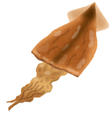 するめのイラスト