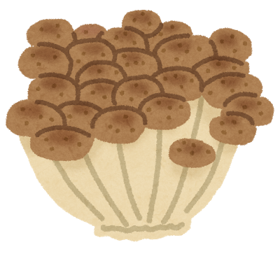 きのこのイラスト