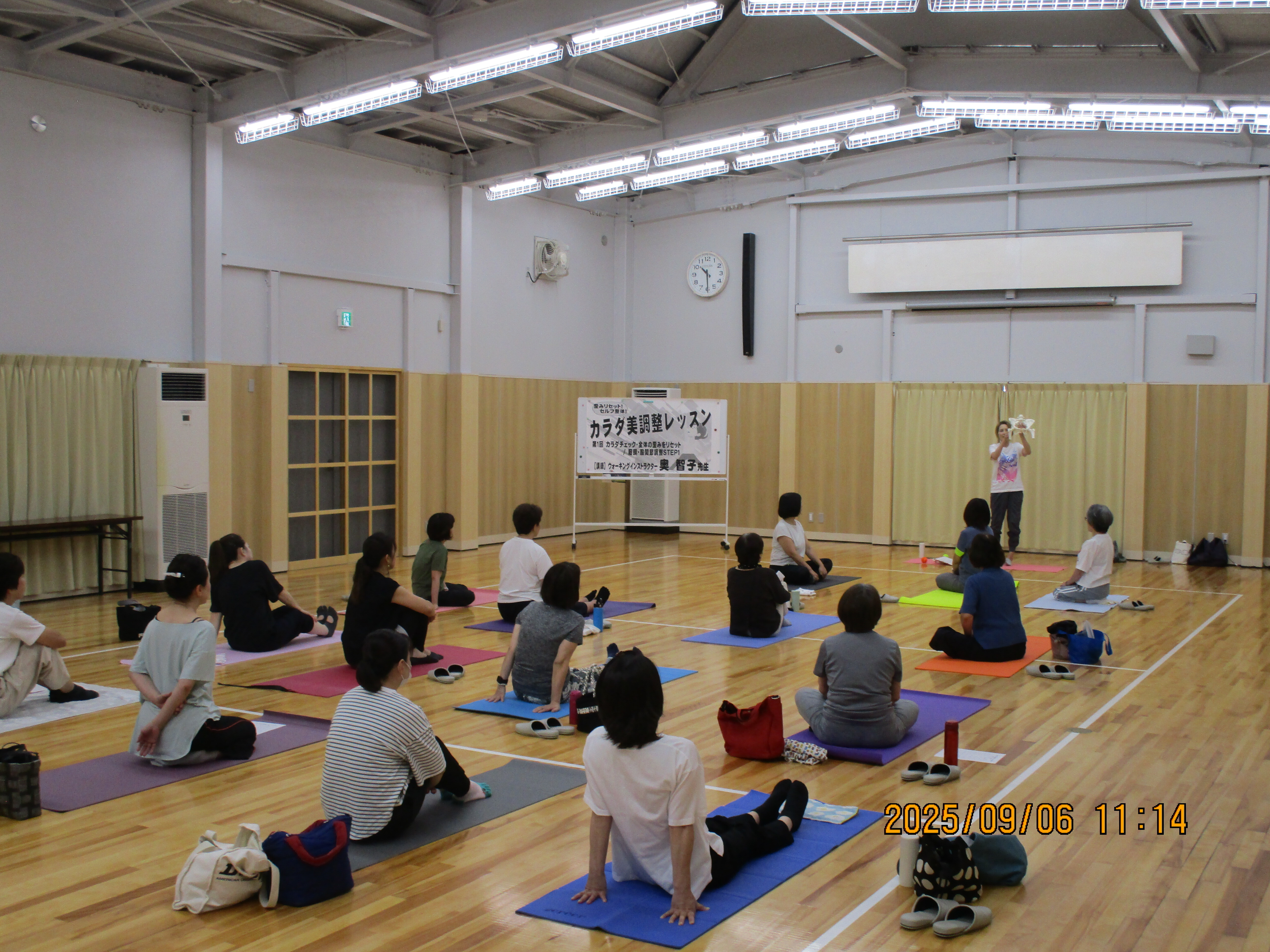 カラダの仕組み　説明