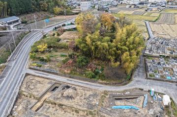 ネコ塚古墳と調査地画像