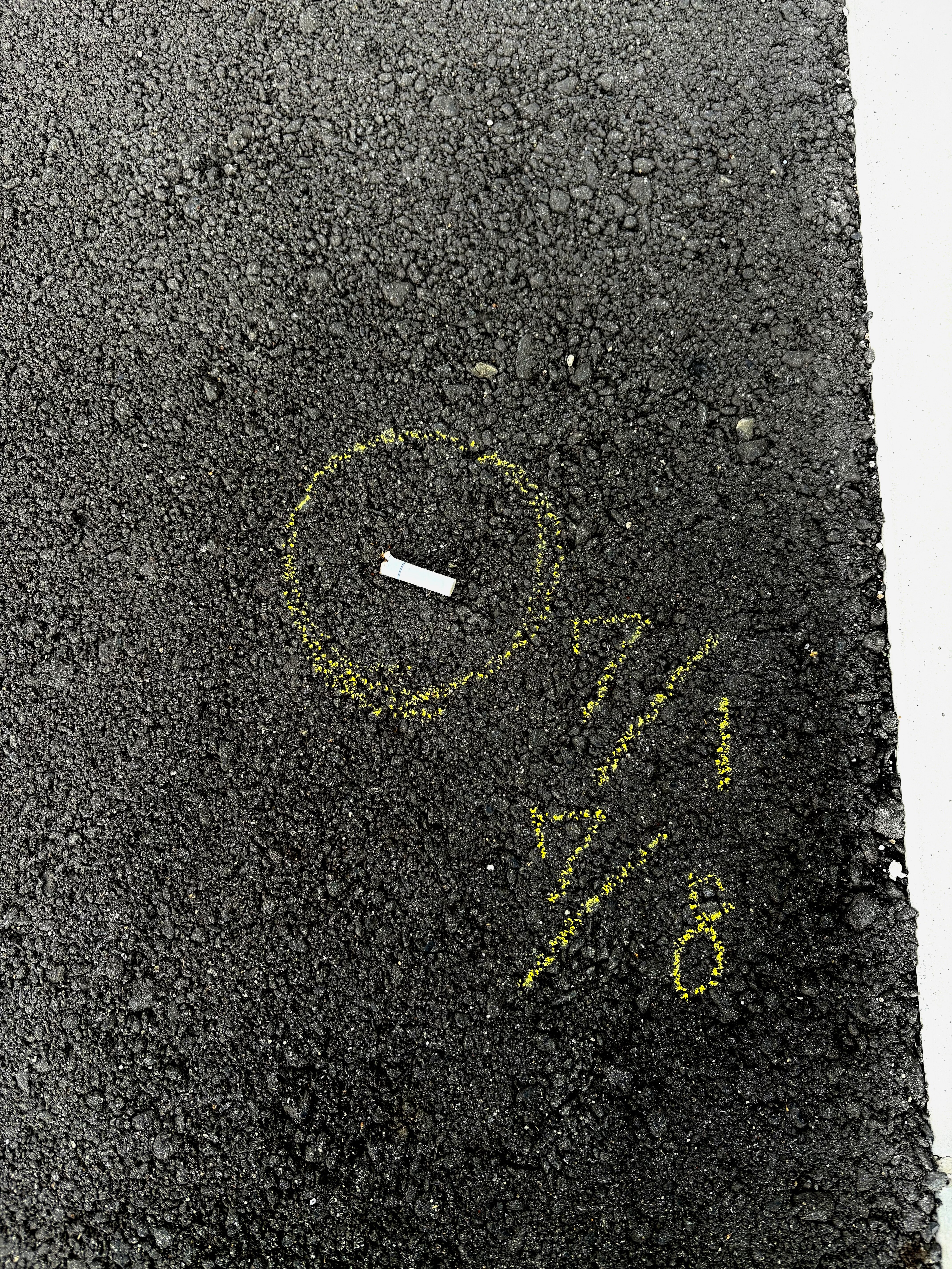 イエローチョーク作戦