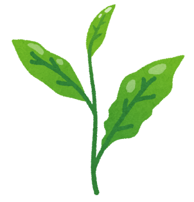 お茶の葉のイラスト