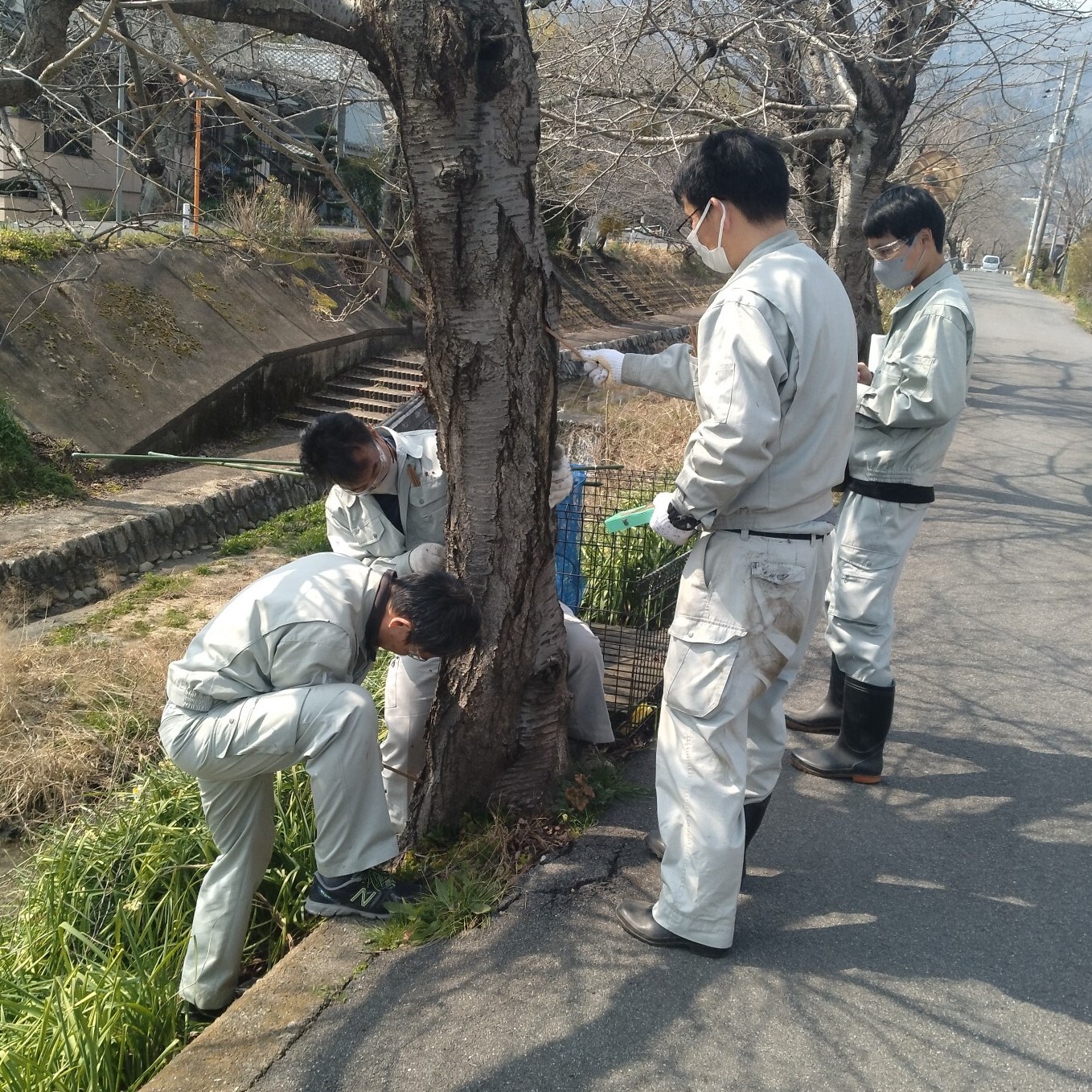防除対策