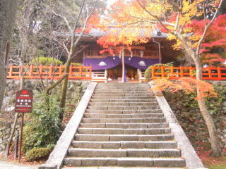 高鴨神社の写真1