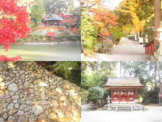 高鴨神社の写真2