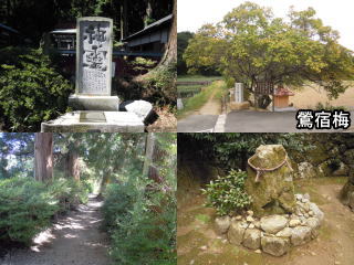 高天彦神社の写真2