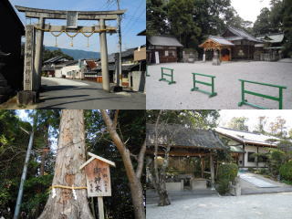 鴨都波神社の写真2