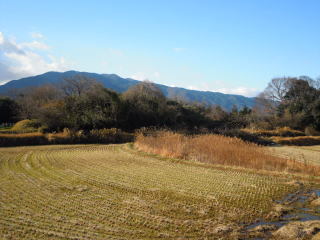 條大池古墳の写真