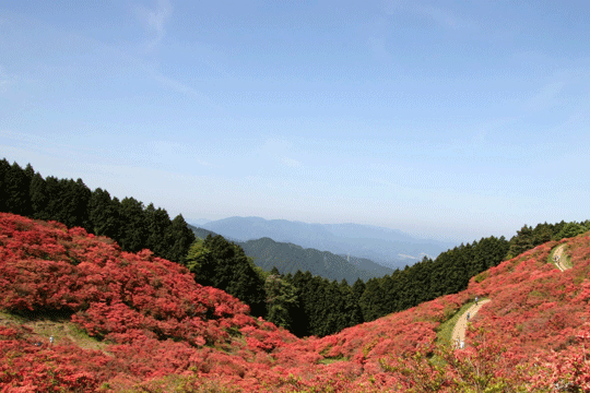 葛城山の写真2