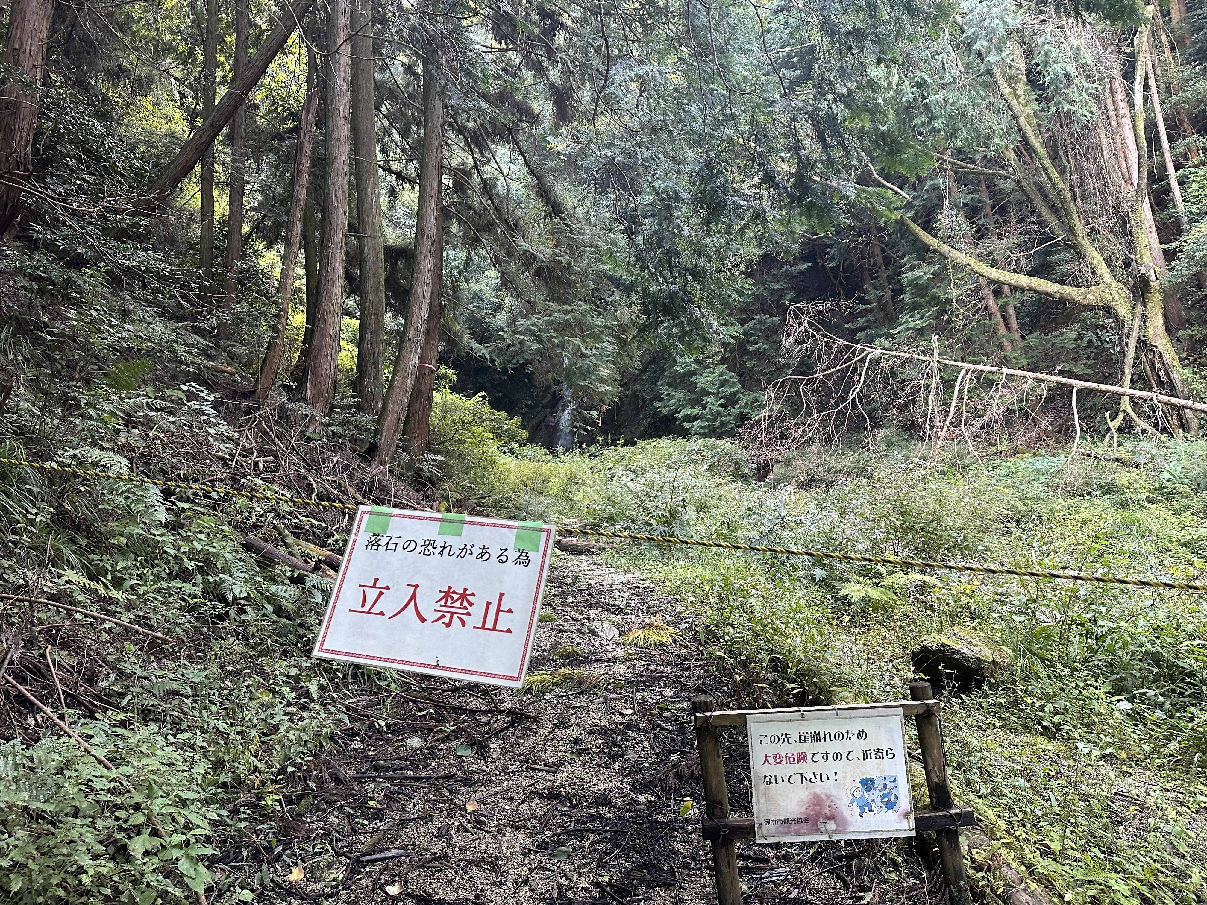 2023年10月15日現在の画像