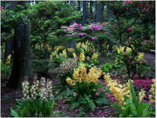 高天山草園の写真1