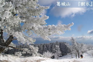 樹氷の写真