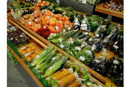 野菜、果物の写真