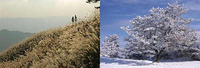 葛城山の秋と冬の写真