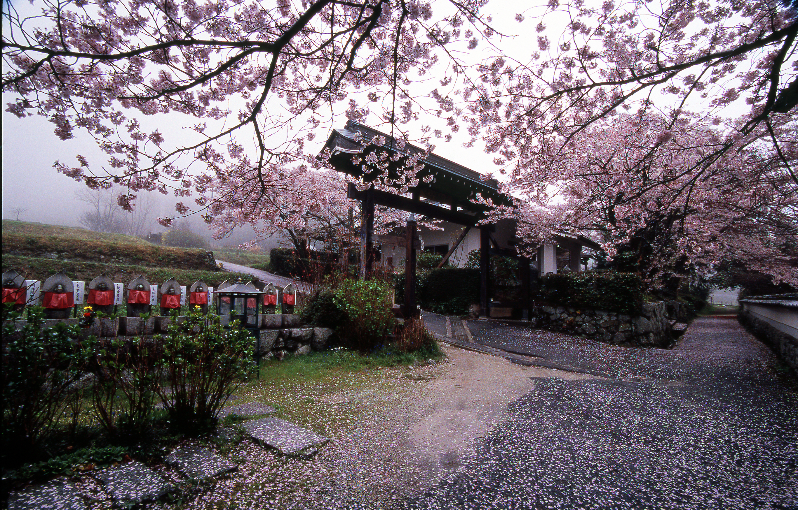 高天寺　橋本院