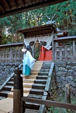 秋祭り（御歳神社）の写真