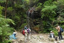 葛城山登山道にて撮影