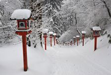 葛木神社周辺にて撮影