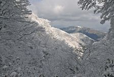 雪景色の写真