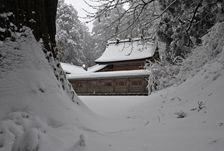 葛木神社にて撮影