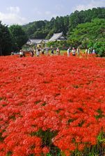 九品寺周辺より撮影