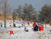 雪遊びの写真