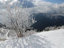樹氷3の写真