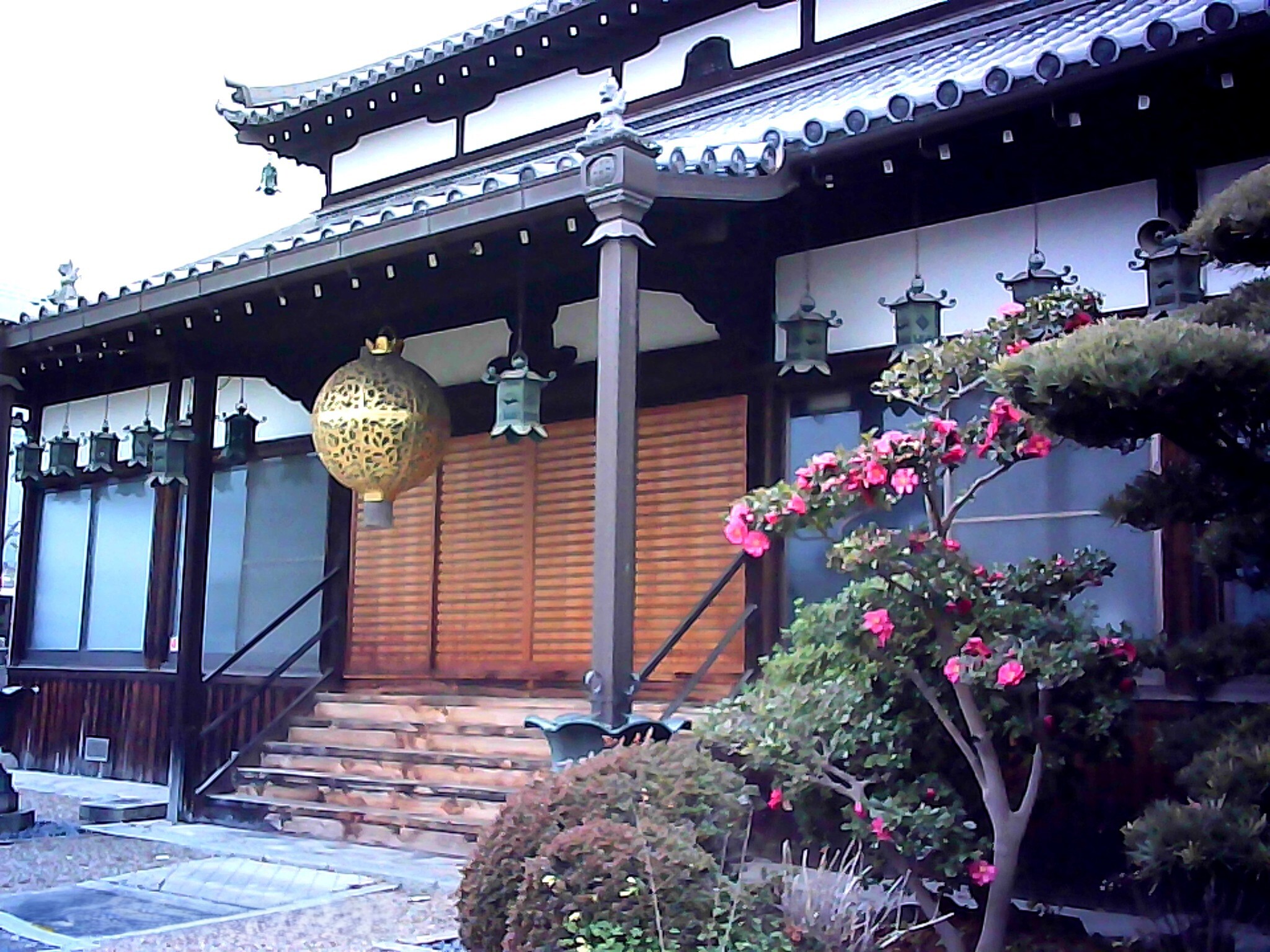 ゴセンちゃん賞作品2