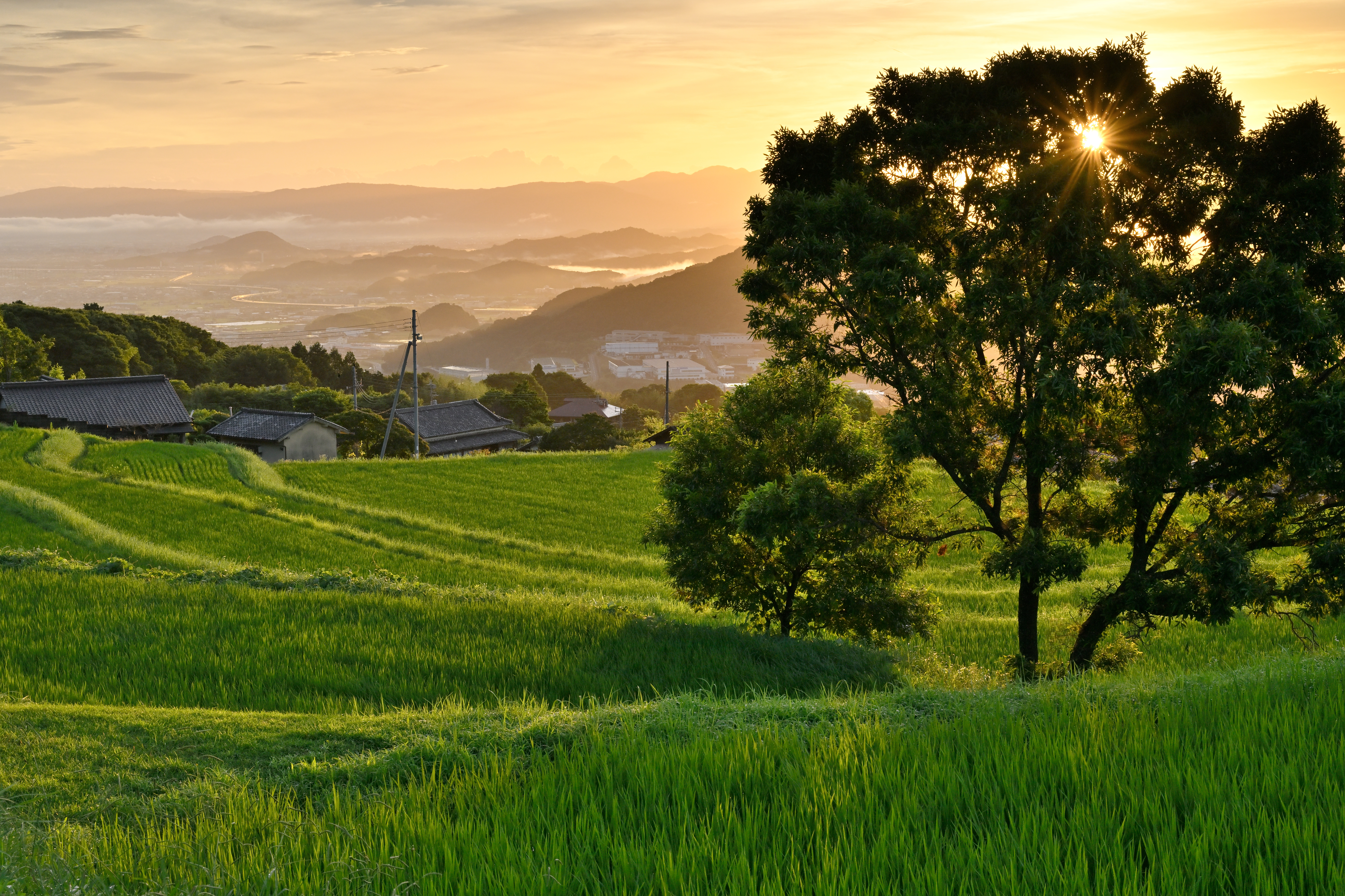 御所市長賞作品