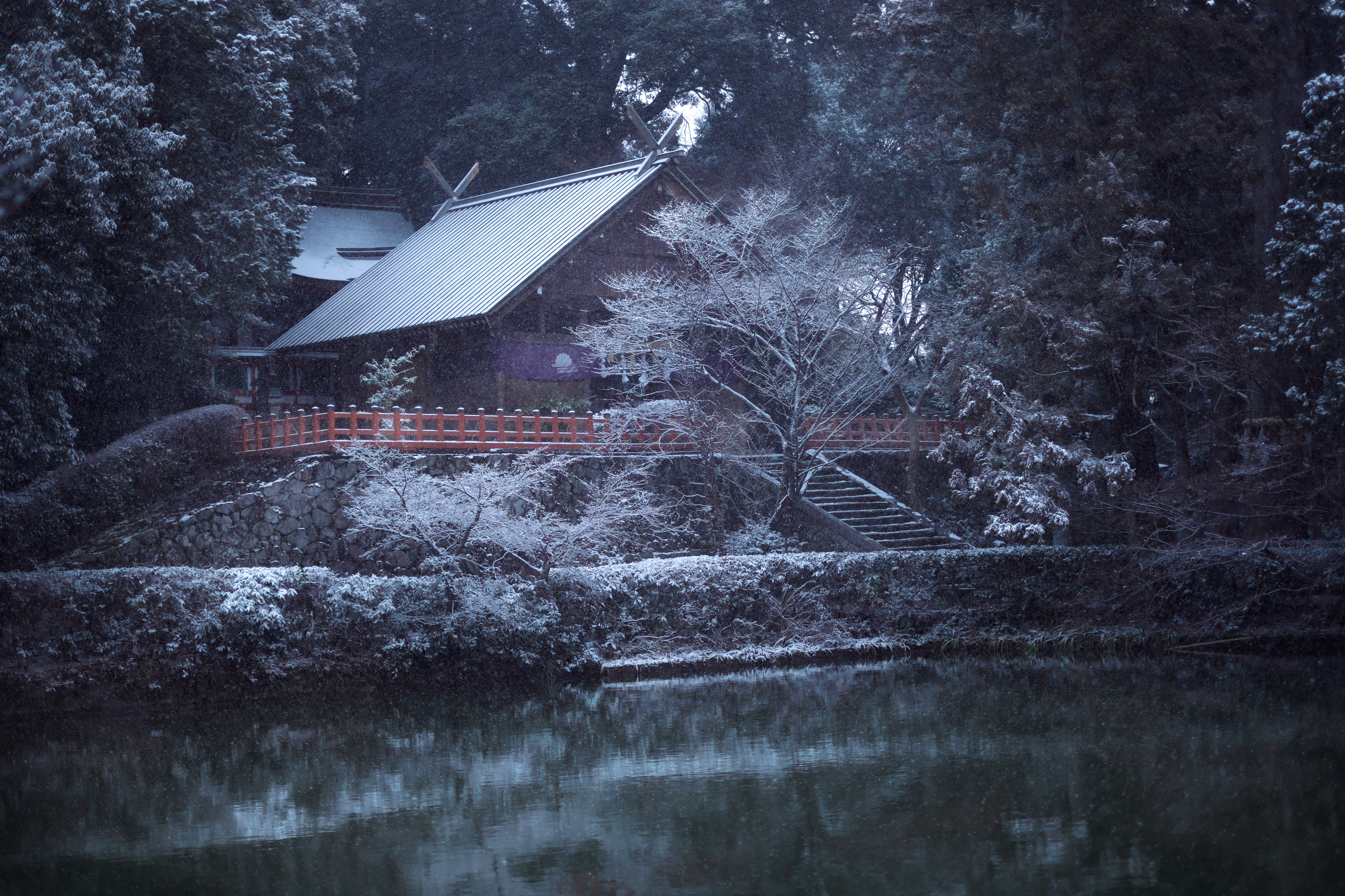 審査委員長賞作品1