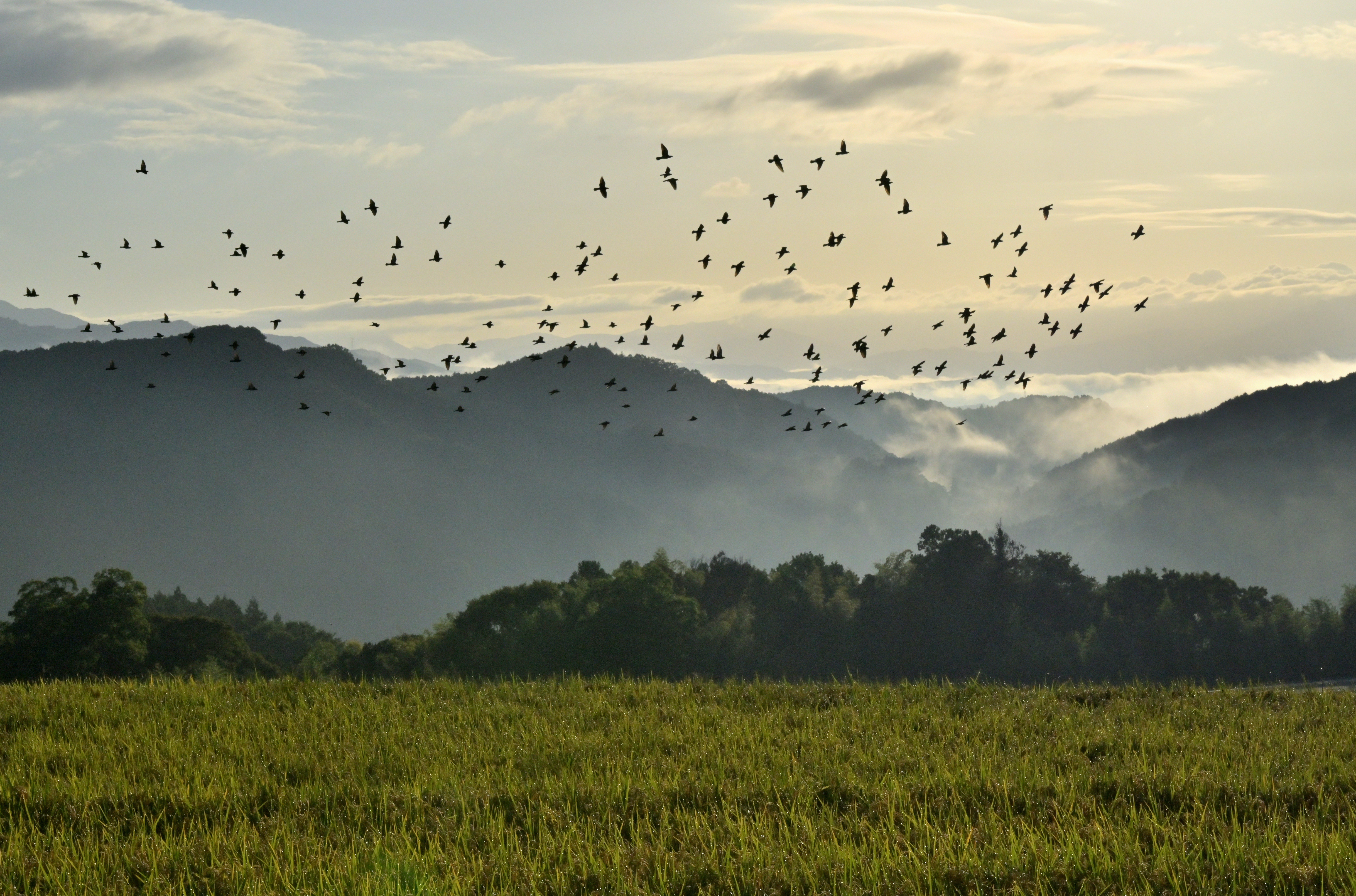 審査委員長賞作品2