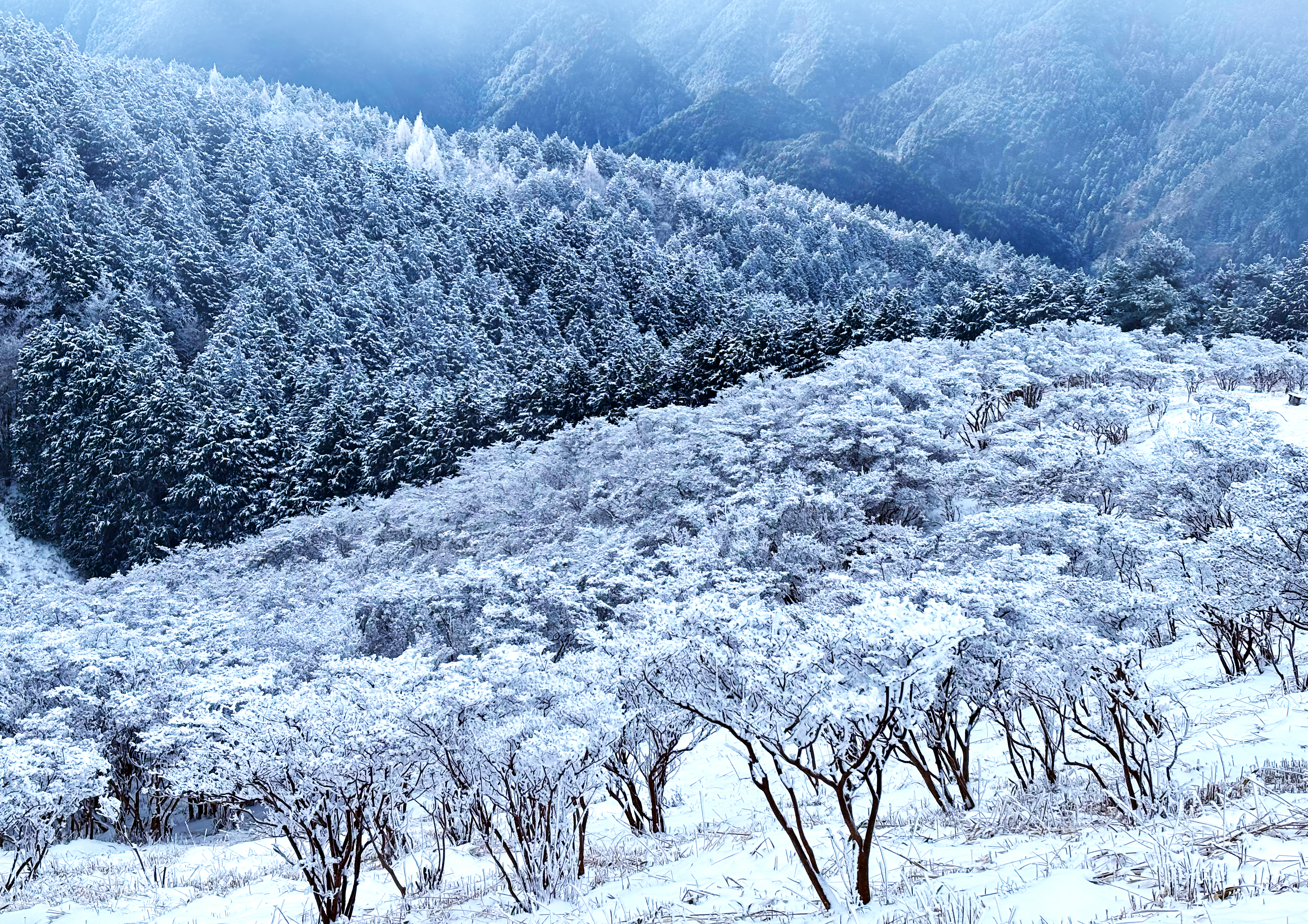 葛城高原ロッジ賞作品1