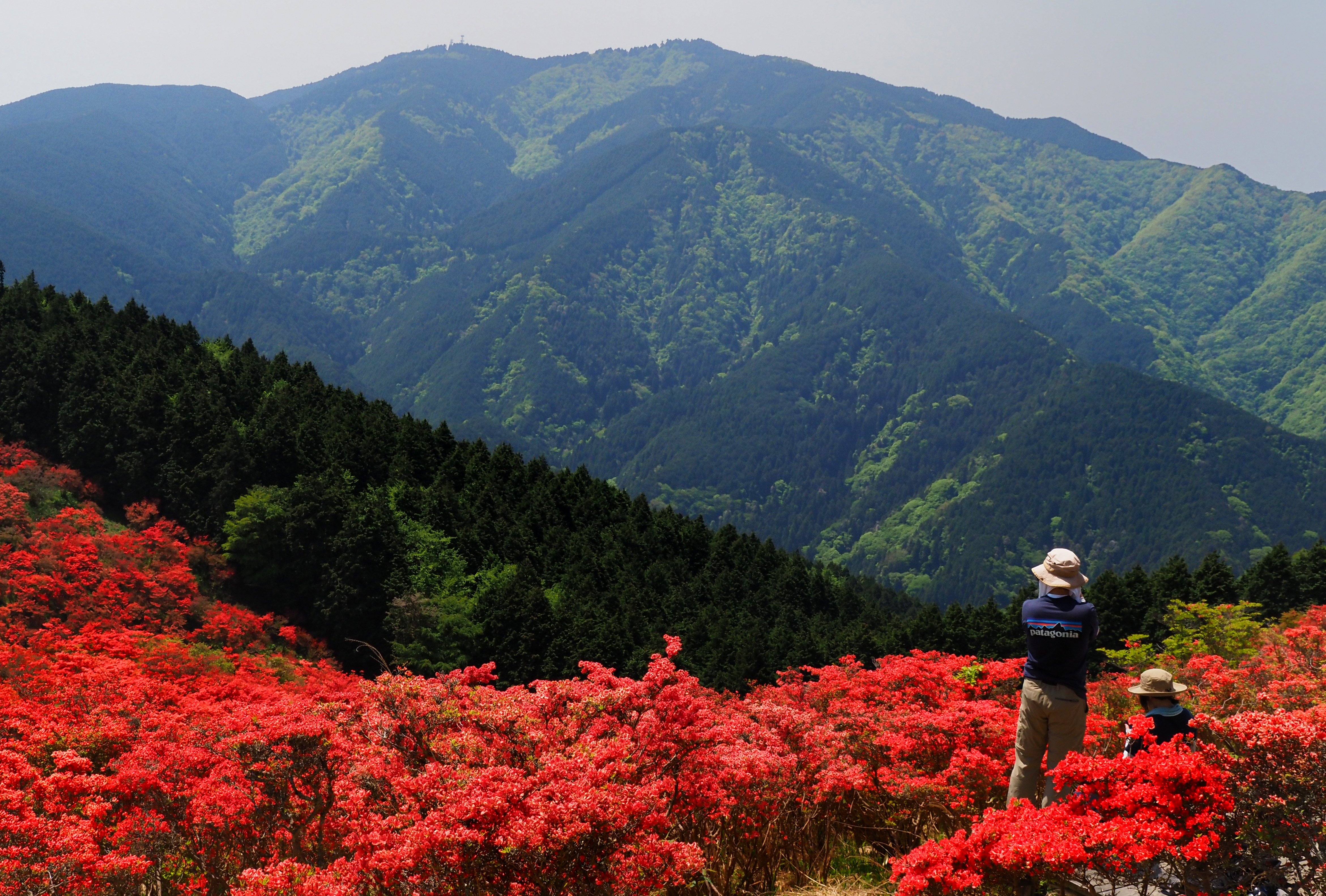 葛城高原ロッジ賞作品2