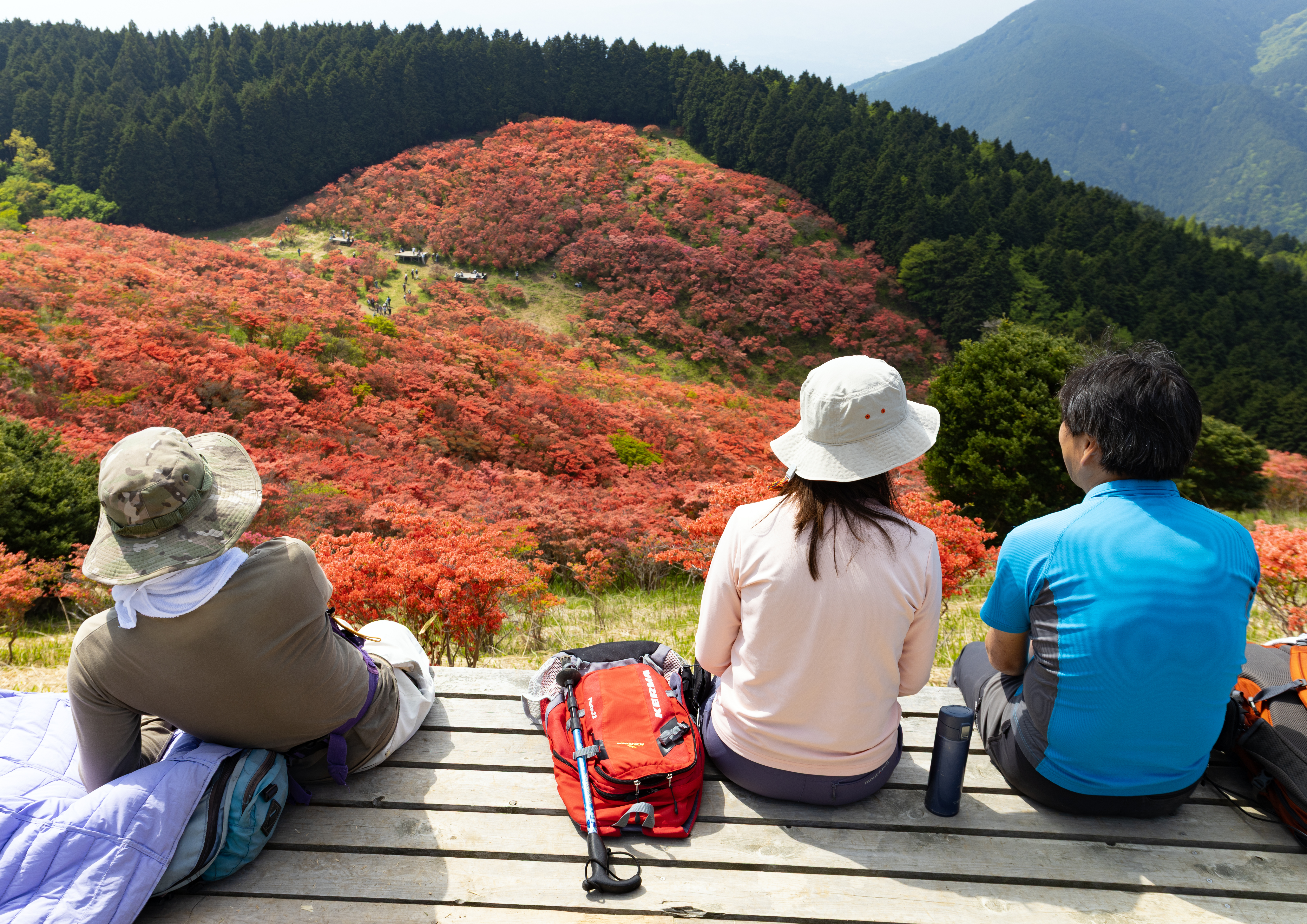 御所の郷賞作品1