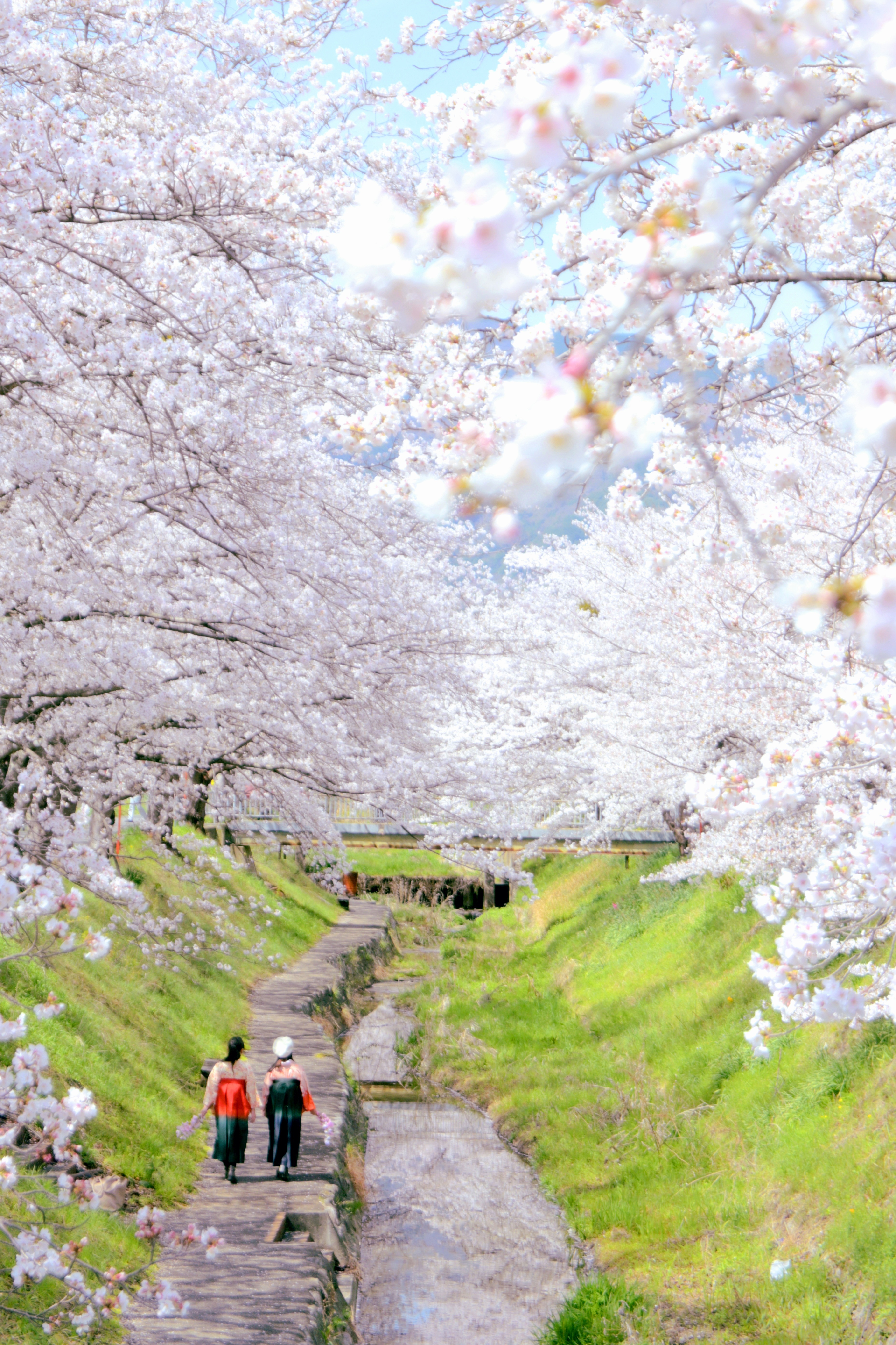 御所の郷賞作品2