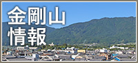 金剛山情報
